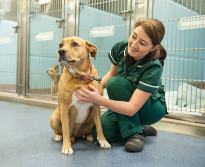 Nurse with dog