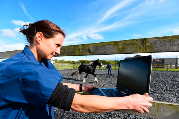 vet with laptop analysing gait of  a horse on a lunge rein