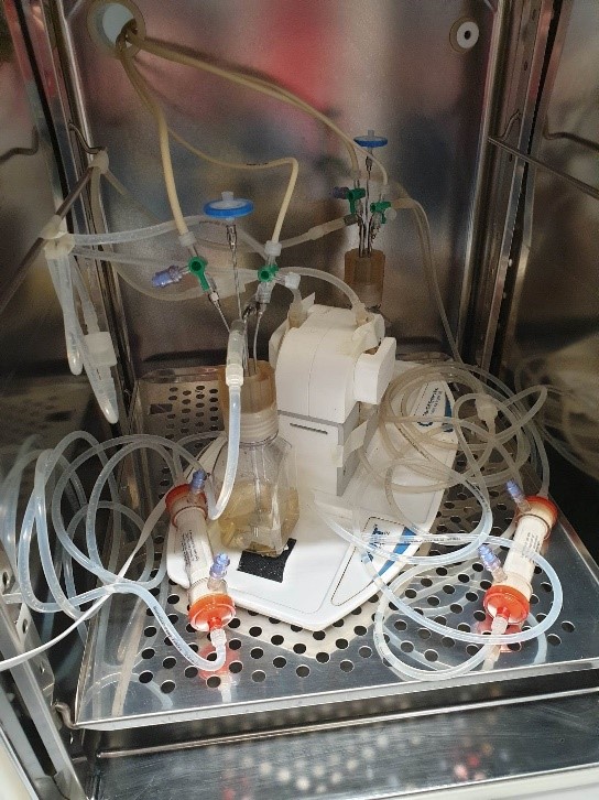 2 simultaneous set-ups running with CAMHB and polysulfone cartridges