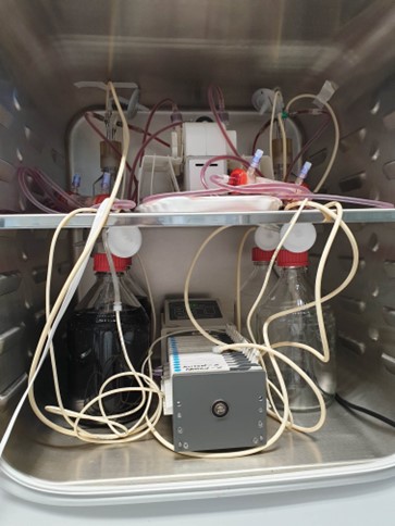 2 simultaneous set-ups running with MH-F (fastidious media) and polysulfone cartridges