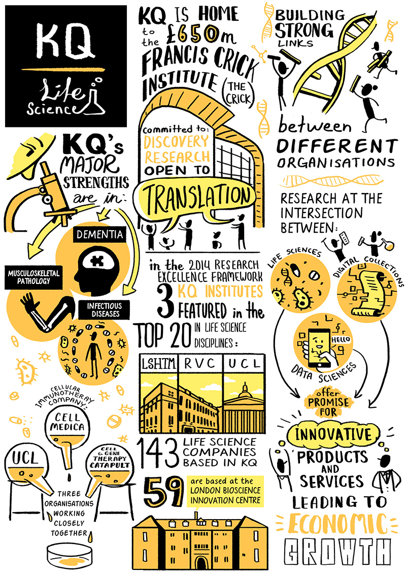 Infographic about life science in the Knowledge Quarter