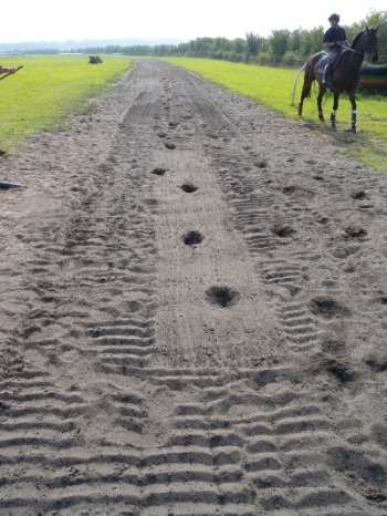 Success: centered hoof prints indicate that the horse galloped exactly over the middle of the buried force plates. Photo: Alan Wilson