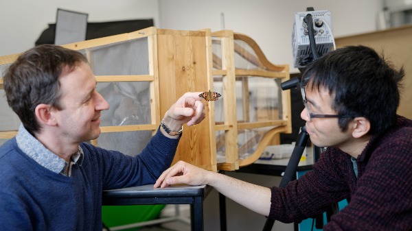 Professor Richard Bomphrey and Dr Masateru Maeda with a painted lady butterfly and the group's wind tunnel 