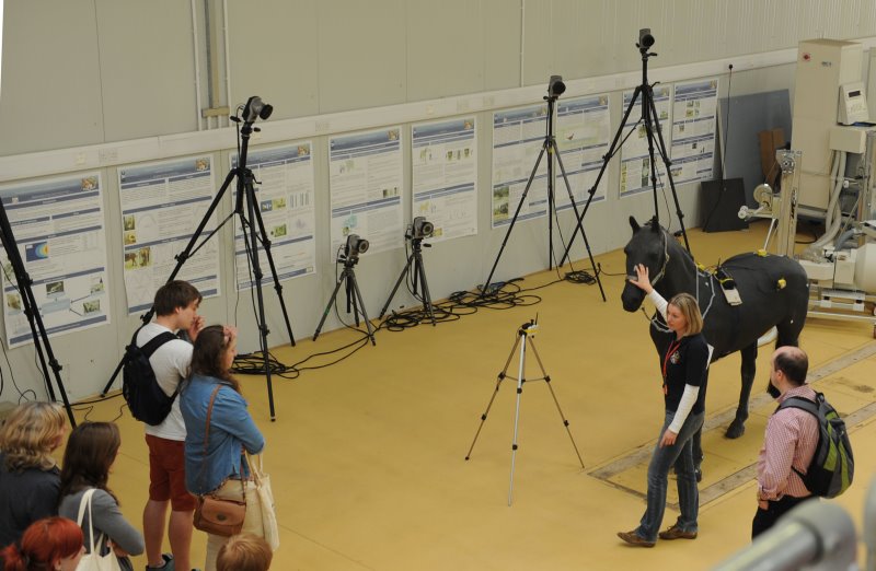 Structure and motion researcher discusses methods of studying locomotion to a crowd during an RVC open day