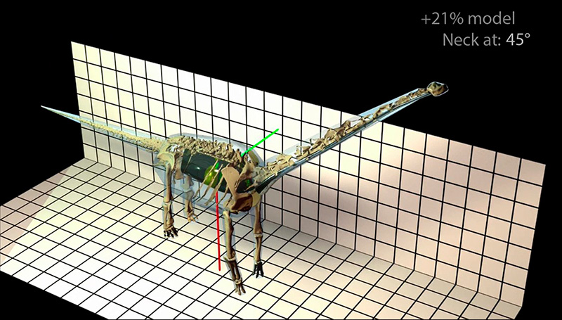 3D dinosaur model