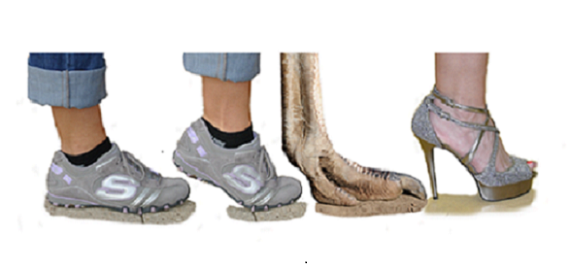 Four feet: one is a flat human foot, two others show an elevated human foot, similar to the ostrich foot