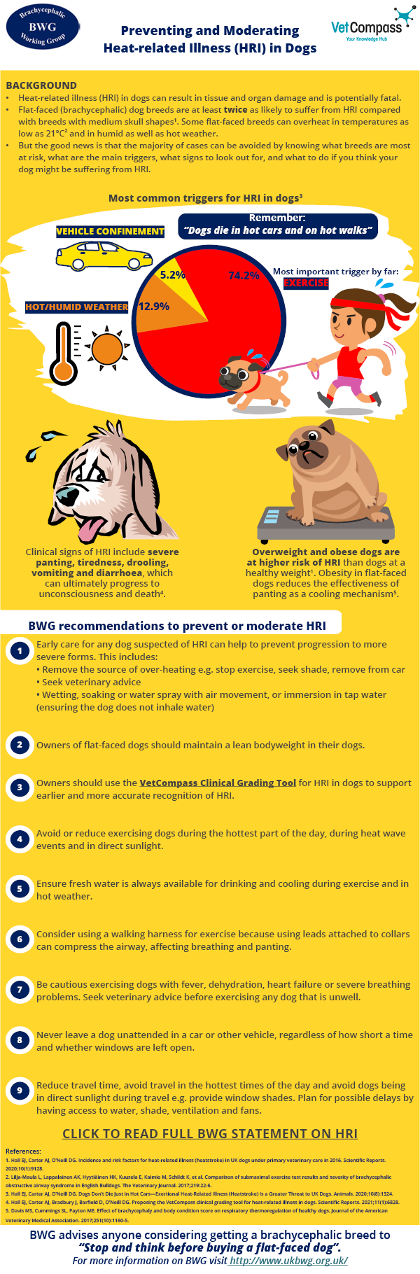 VetCompass on X: 🐹Infographic for the latest paper of the health of pet hamsters in the UK: Infographic can be accessed here: / X