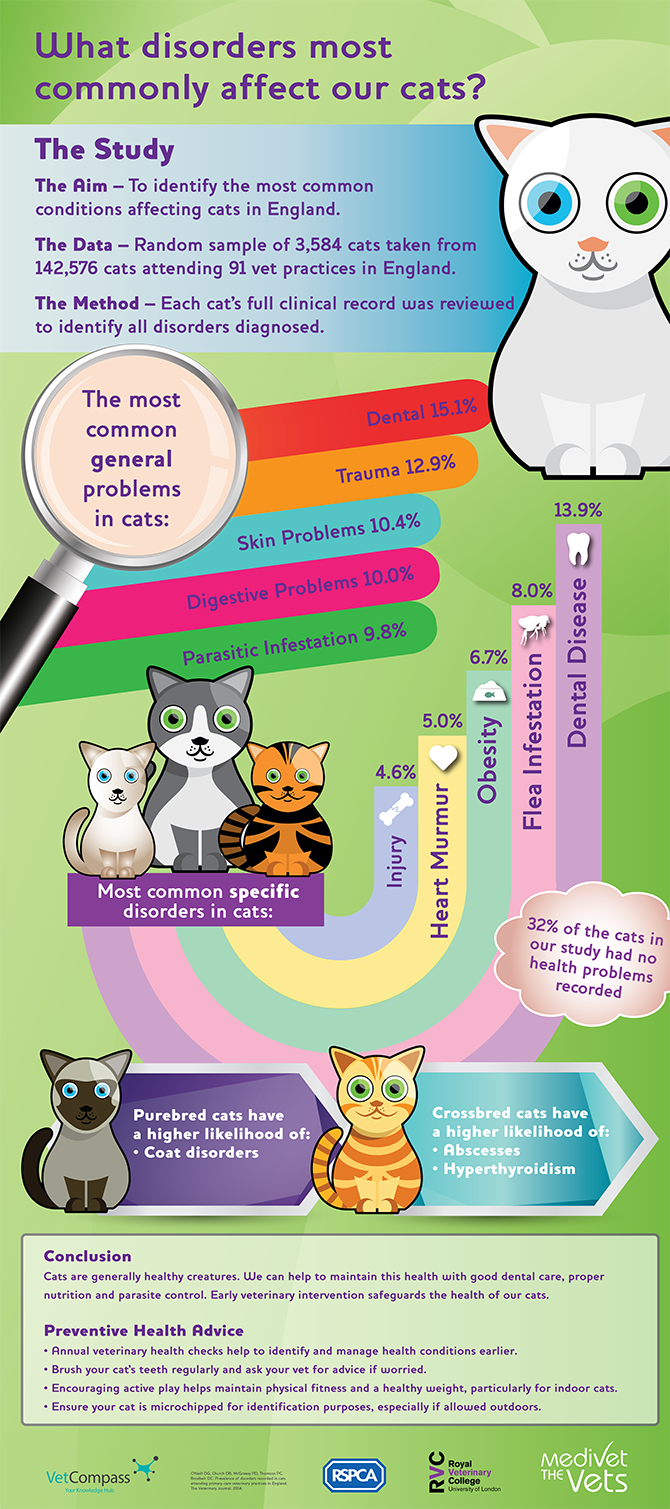 VetCompass on X: 🐹Infographic for the latest paper of the health of pet hamsters in the UK: Infographic can be accessed here: / X