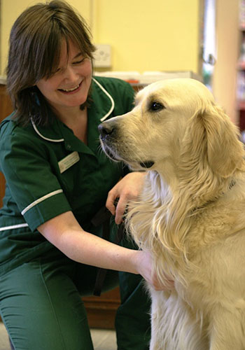 Veterinary nurse with dog