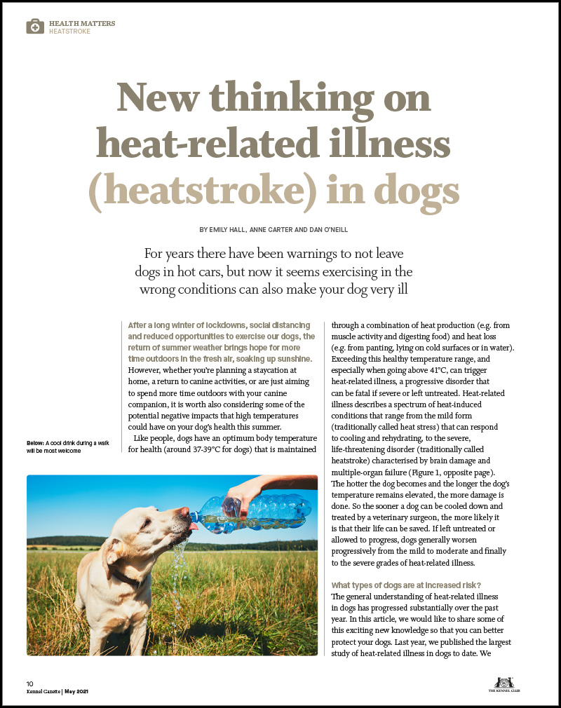 Magazine article entitled Heatstroke in Dogs