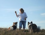 two dogs and owner playing fetch