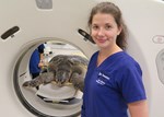 student with CT scanner and turtle