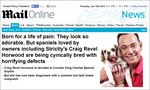 Screenshot of Daily Mail Online article headline