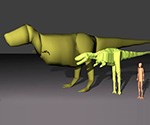 Computer graphic showing dinosaur size in relation to a human