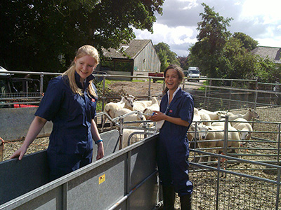 Students with sheep