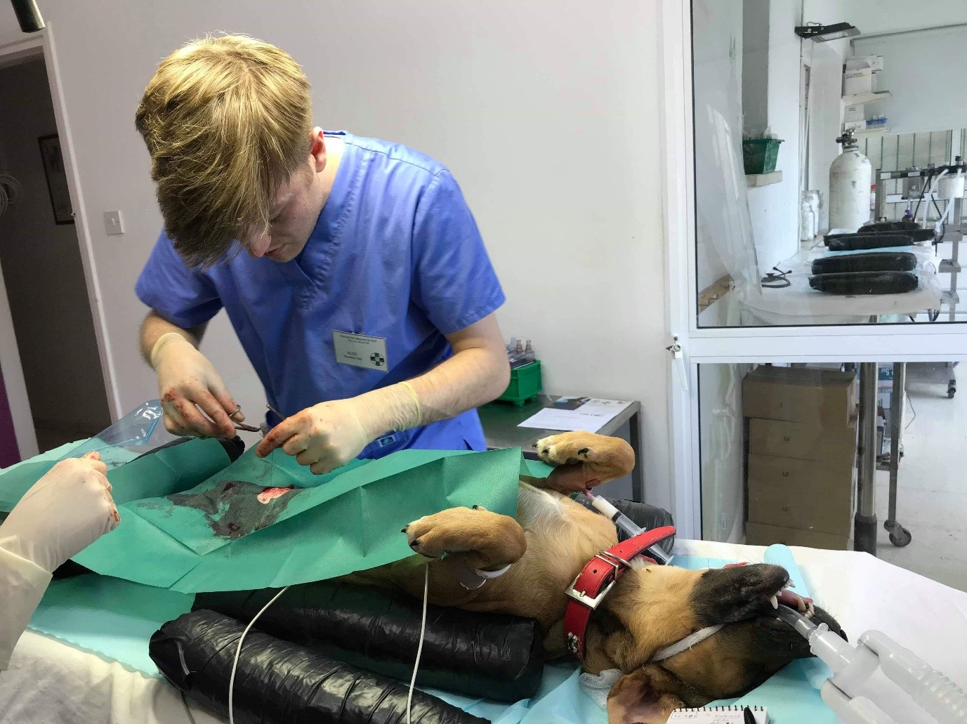 Student Alex performs surgery during EMS placement