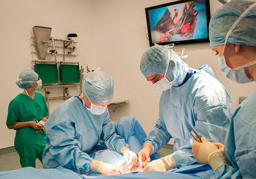 RVC vets operating on a horse