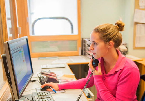 Equine receptionist on the phone