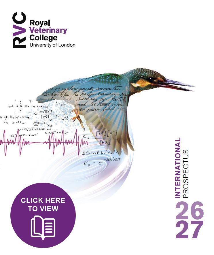 front cover of the International Prospectus 2025-2026