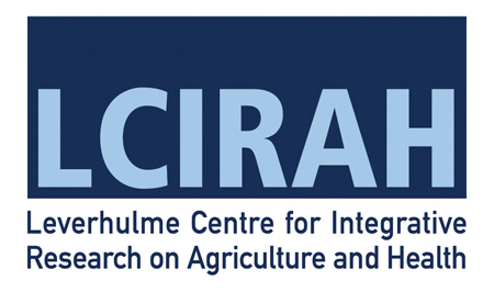 LCIRAH logo