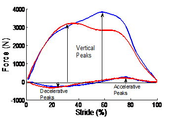 Illustration of the data extraction process