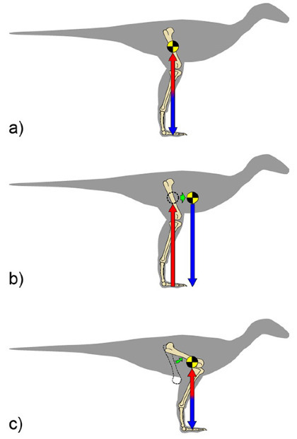 Posture explanation