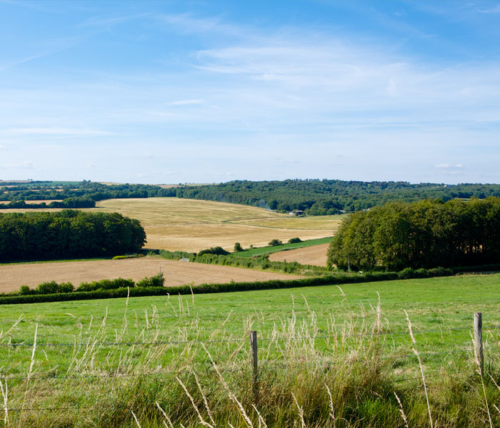 Hertfordshire field