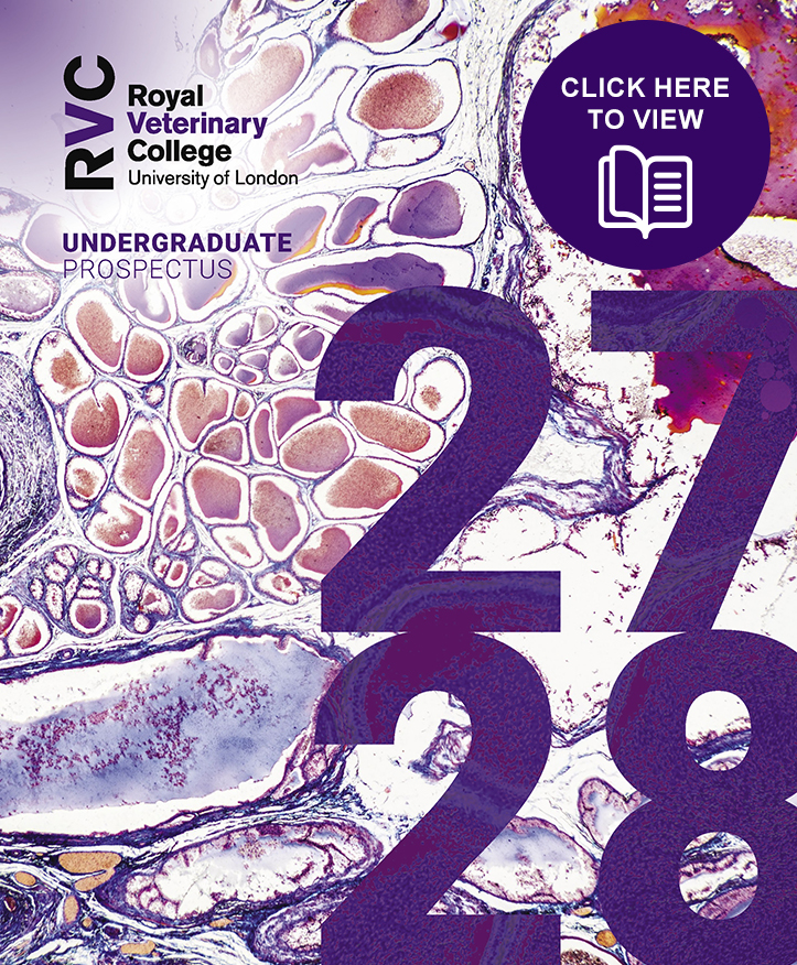 front cover of the Undergraduate Prospectus 2027-2028