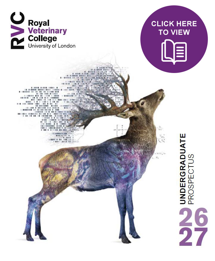 front cover of the Undergraduate Prospectus 2025-2026