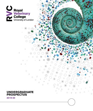 front cover of the Undergraduate Prospectus 2019-2020