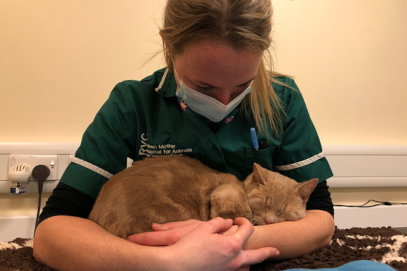 sleeping can cradled in net nurse's arms