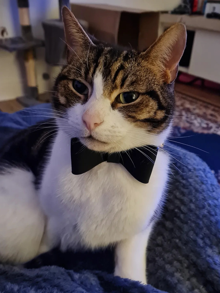 Boy