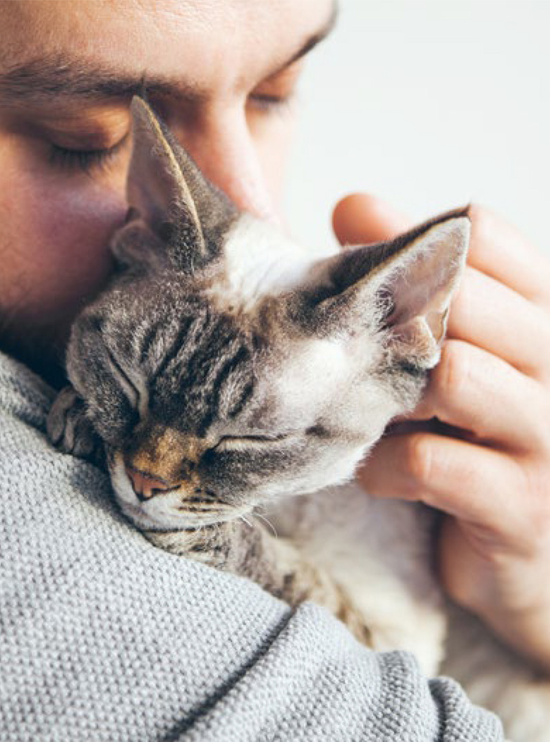 contented cat and owner