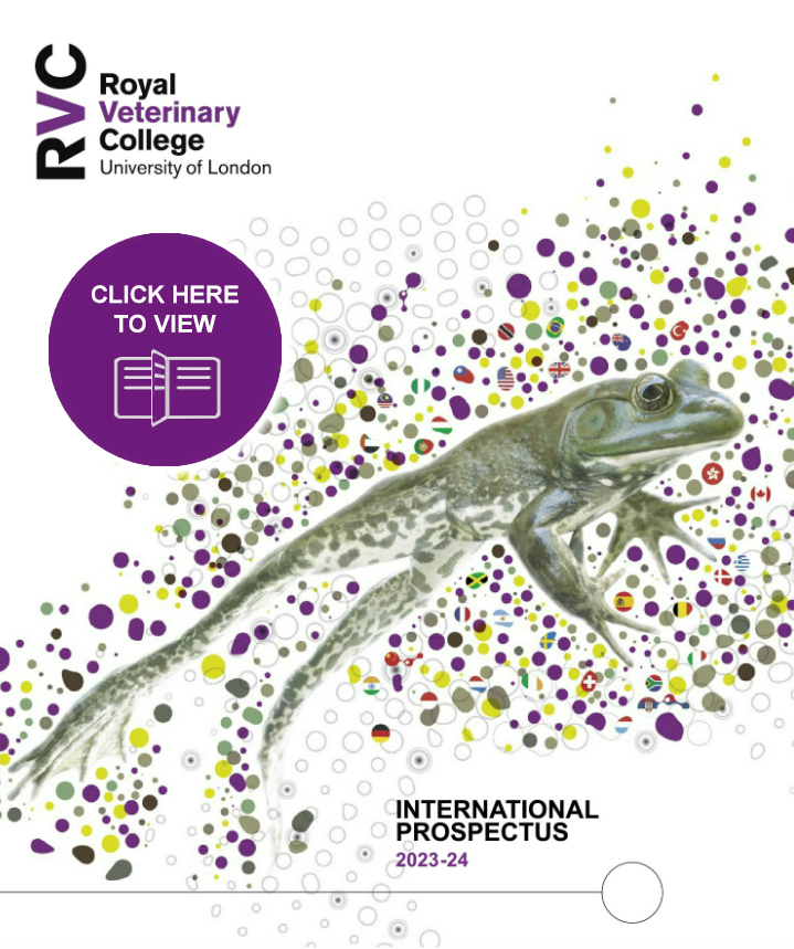 front cover of the International Prospectus 2023-2024