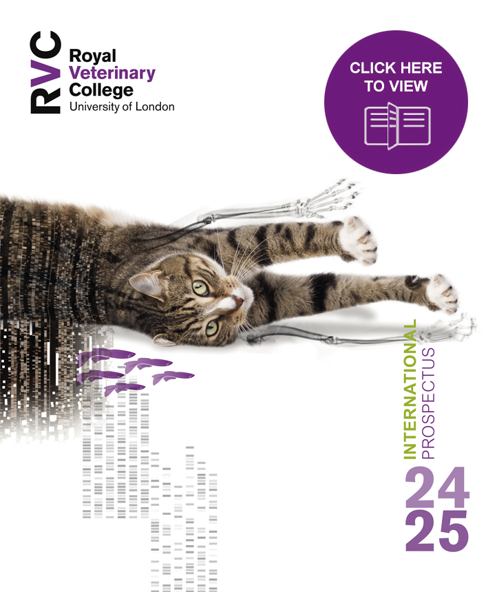 front cover of the International Prospectus 2023-2024