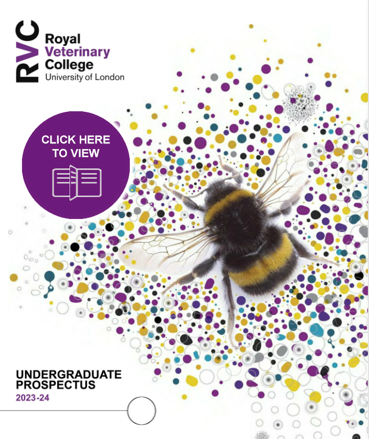 front cover of the Undergraduate Prospectus 2023-2024