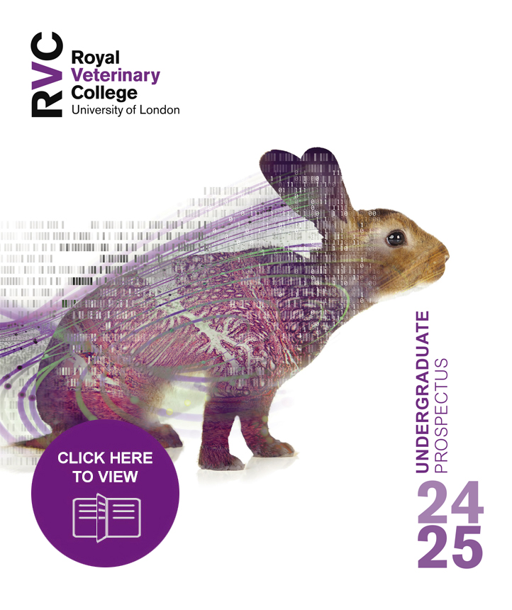 front cover of the Undergraduate Prospectus 2024-2025