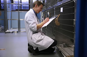 student checking on animals in hospital