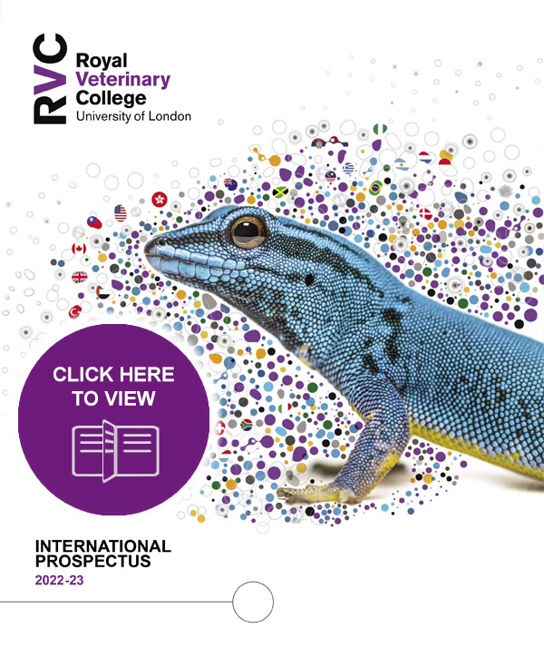front cover of the International Prospectus 2022-2023