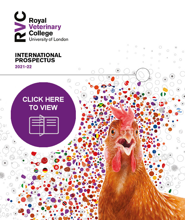 front cover of the International Prospectus 2021-2022