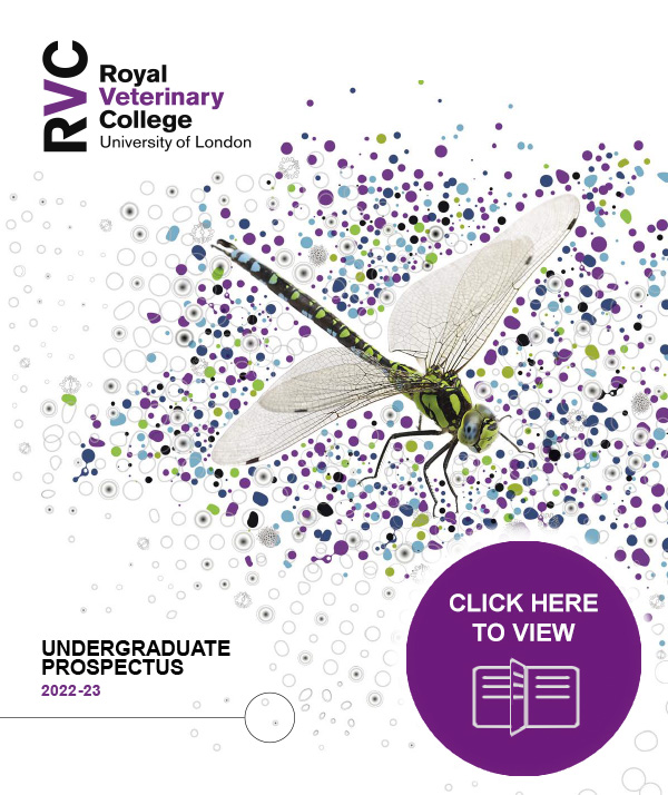 front cover of the Undergraduate Prospectus 2021-2022