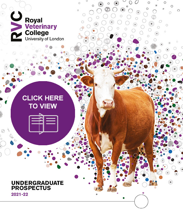 front cover of the Undergraduate Prospectus 2021-2022