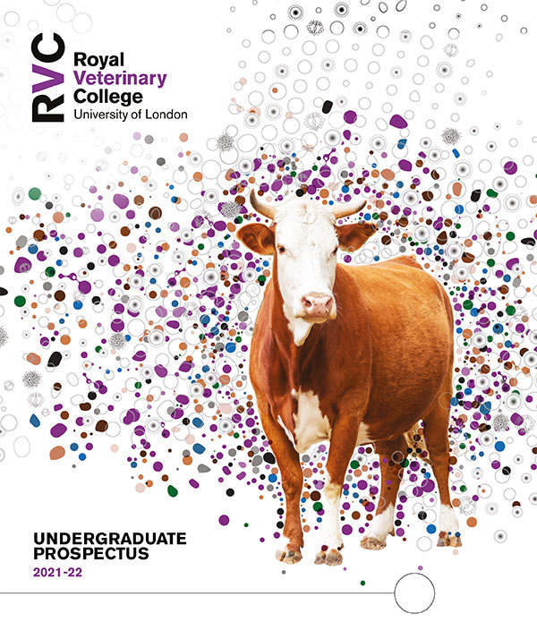 front cover of the Undergraduate Prospectus 2021-2022