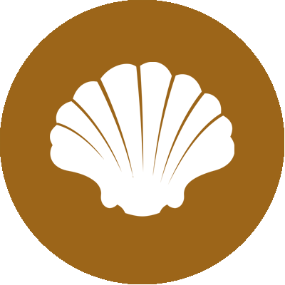 Bivalves