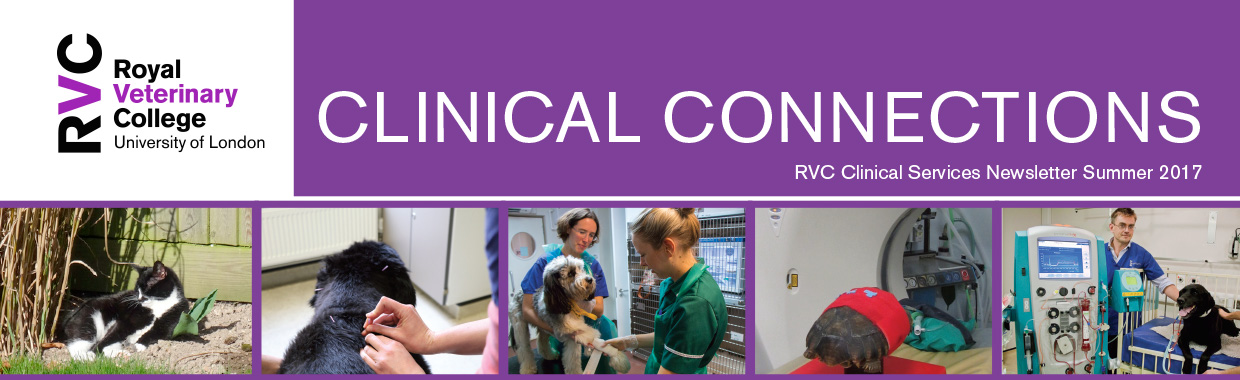 Clinical Connections - Summer 2017