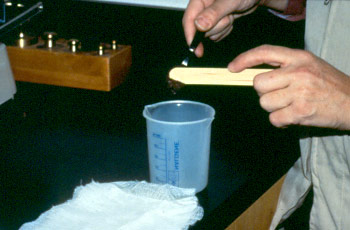 scales and container into which faeces are being placed